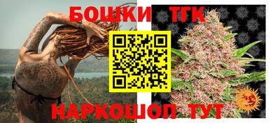 таблы Новодвинск