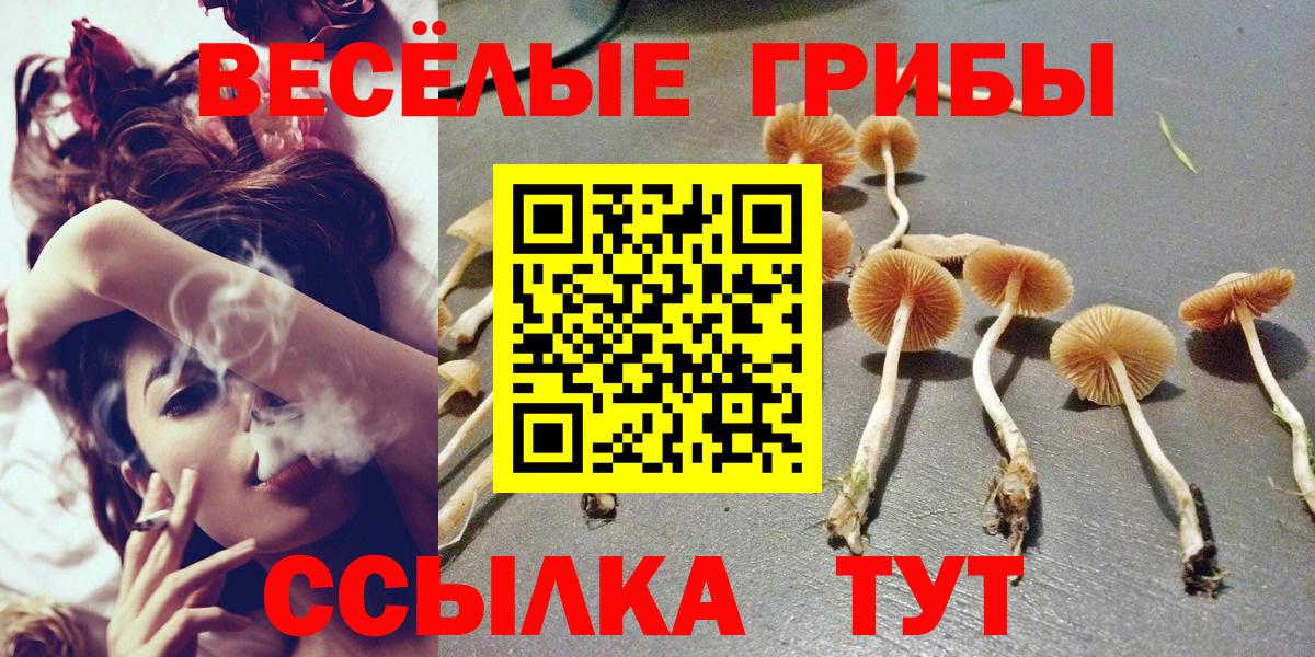 Галлюциногенные грибы GOLDEN TEACHER  Вход с VPN  Псилоцибиновые грибы мухоморы  Рыбинск 